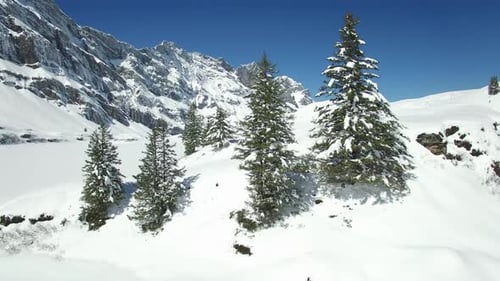 Paysage forestier enneigé en hiver