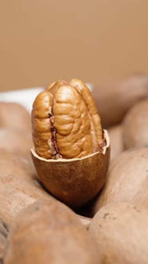 Vertical video. Cracked pecan shell in two halves, nut inside, close-up of a plate with nuts