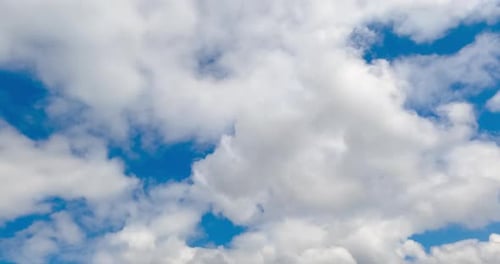 White cumulus cloudscape accumulating in the blue skies. Beautiful summer sky from low angle view