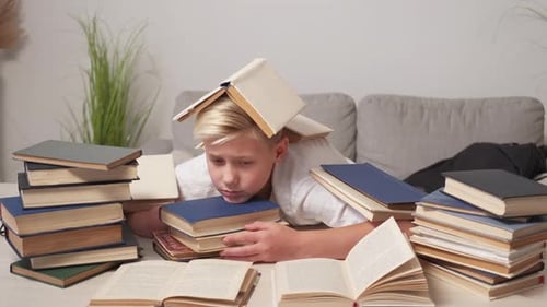 Exhausted Education Tired Schoolboy Many Tasks