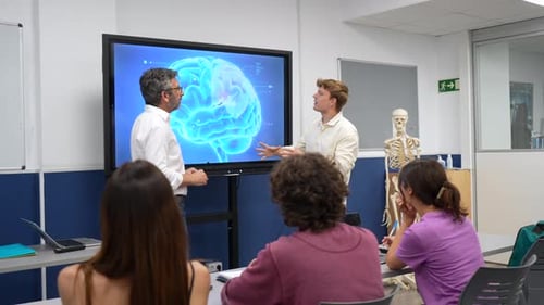 Student präsentiert Gehirnanatomie im naturwissenschaftlichen Unterricht