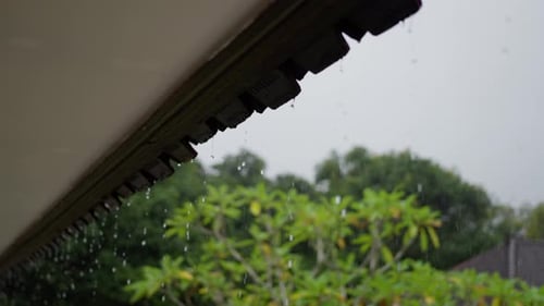 Water Falls on House Trees Road and Nourishing Plants There is Rain Falling From the Sky Outside