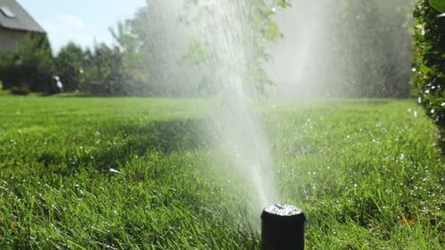 Lawn Sprinkler Watering Grass on a Sunny Day