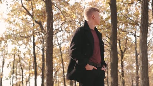 Portrait of Handsome Man in Black Coat Sitting Near the Tree in Autumn Forest on Sunny Day