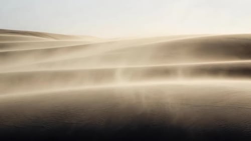 Dunas del desierto