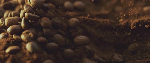 Coffee powder and coffee beans