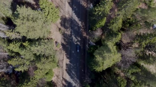 View of the Forest Road From a Drone The Car is Driving on the Road
