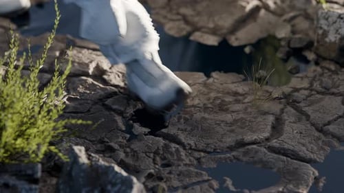 Astronaut Foot Print 3D Animation