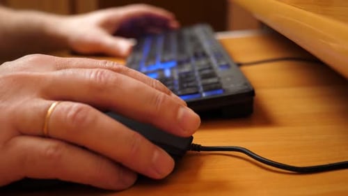 34 Rev. Eine Person arbeitet mit Maus und Tastatur an einem Computer.