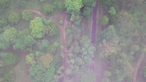 Misty aerial view of Nagarahole forest with dense green tree cover and soft fog in the early morning
