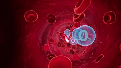 Digital Illustration of Blood Cells and Oxygen in Bloodstream