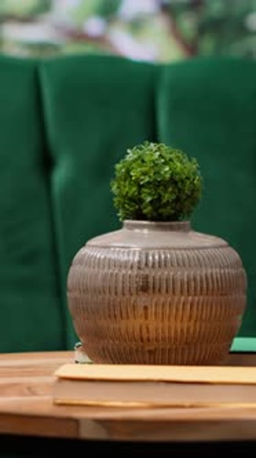 Vertical Video Spacious Empty Cottage in the Forest with Elegant Sofa and a Wooden Table