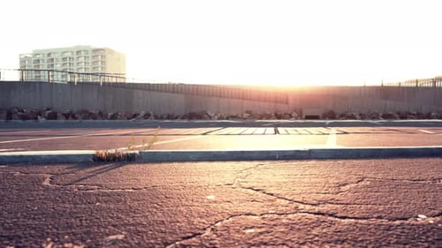 Empty Beach Car Park Spaces Covered in Asphalt