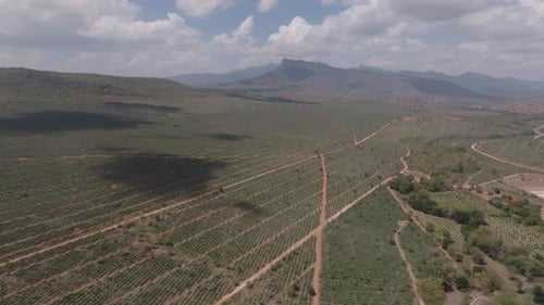 Aerial view of cultivated land and hills, Kenya.