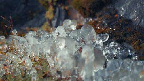 Eis glasierte das Gras und die winzigen Pflanzen, wodurch kleine Stalagmiten auf dem Boden entstanden. Ein Parallax-Video