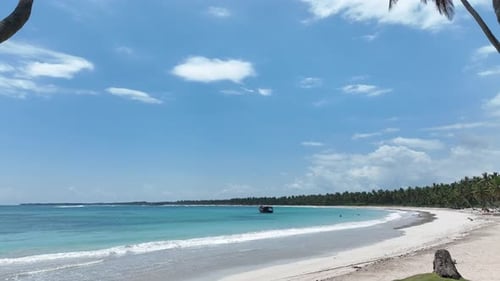 Tropical and Caribbean beach, white sand, palm trees, turquoise waters. Aerial drone, low flight