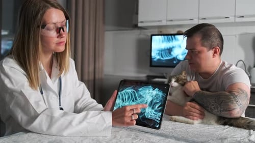 Veterinarian Showing X-Ray of Cat to Owner