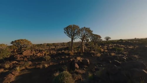Landscape of Wild African Nature
