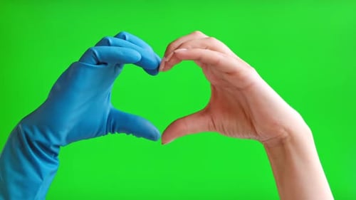 Hands in Medical Gloves In The Form Of Heart Isolated On Green Screen Background