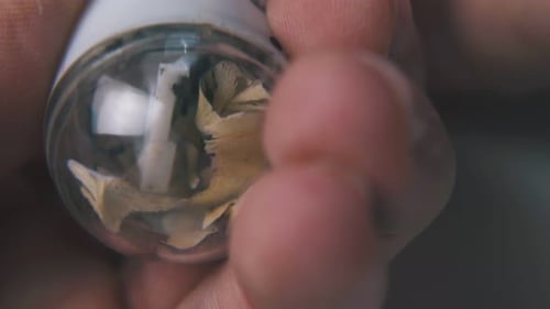 Man Sharpens Green Pencil with Sharpener on Light Background
