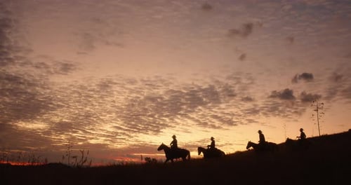 4 cowboys in the early morning light as they ride down a picturesque hill.