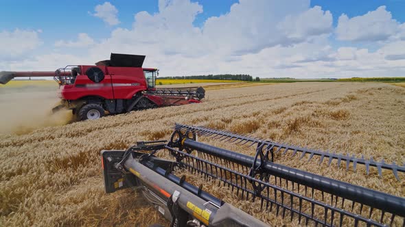Recolección de cultivos en el campo. Dos cosechadoras combinadas