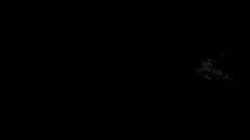 Flying Bat Swarm for Halloween or Spooky Projects