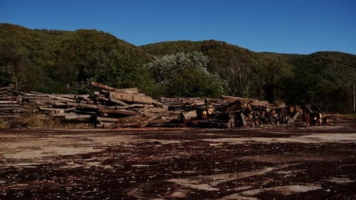 Pile of Cut Logs in Rural Area