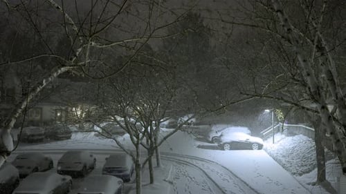 Snowfall in a winter night on parking cars, static shot, neighborhood, snowflakes falling in dark