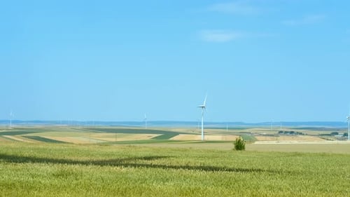Clean Wind Energy in the Field