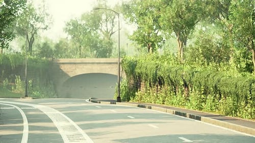 Foto da estrada que atravessa o meio da floresta