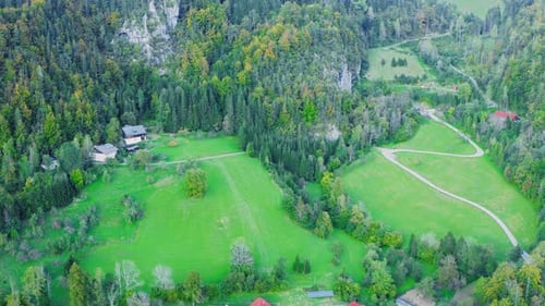 Chalets surrounded by green lush Alpine nature on sunny summer day