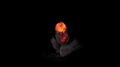 Bomb Explosion - II - Ground View - Fire and Smoke Blast - Alpha Channel