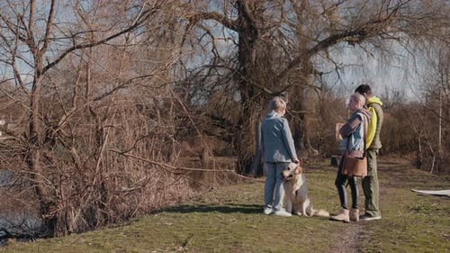 An Elderly Woman Her Adult Daughter and Her Grandson Take a Walk with Their Golden Retriever on a