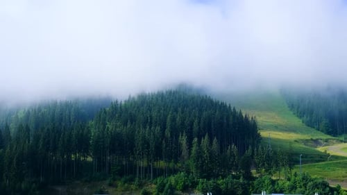 Aerial View of Lush Green Mountain Forests in Cloud