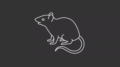 Animiertes weißes Rattensymbol