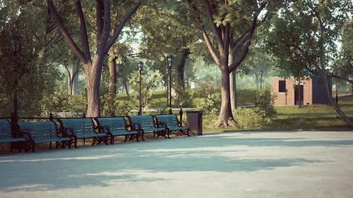 Peaceful Sunny Park Scene with Empty Benches