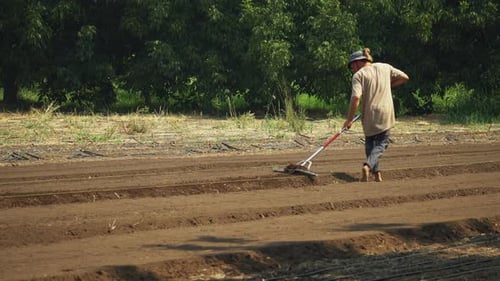 Unrecognizable farmer using a rake for plowing the field and making furrows, cultivating concept