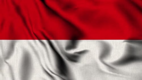 Realistic Red and White National Flag Waving Animation