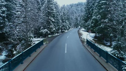 Drone Fly Over Winter Snowy Asphalt Road in Forest