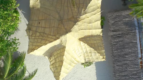 Aerial Top View on White Sand Beach with Thatched Huts and Lush Tropical Island Bora Bora French
