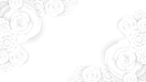 Pure White Background Flowers Motion