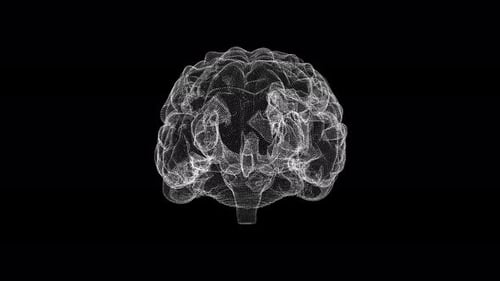 Digital Brain A Mesh Of Complex Networks