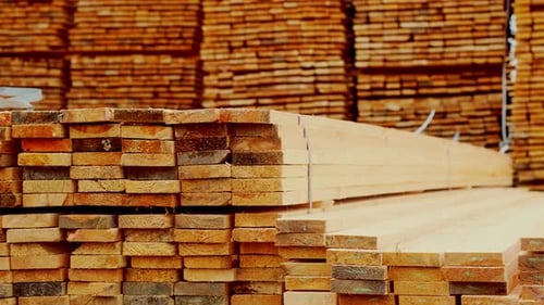 Stacks of Raw Wood Planks for Construction