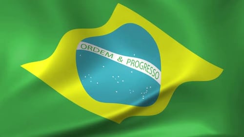 Brazil Flag