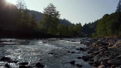 Mountain river flowing through stone rapids in a sunny forest landscape