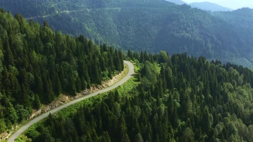 Luftbild der Waldbergstraße. Filmmusik Drohnenaufnahme beim Überfliegen einer Landstraße mit gebogenem