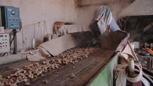 Machine Processing Food Ingredients on Conveyor Belt Indoors
