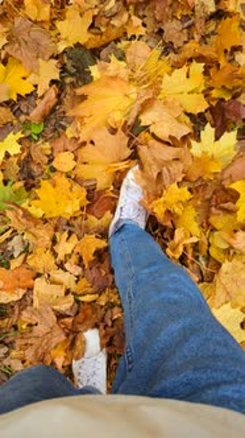 Feet Steps
