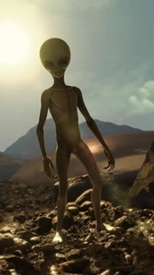 Ein Alien Grey in einer felsigen Landschaft mit abgestürztem Ufo